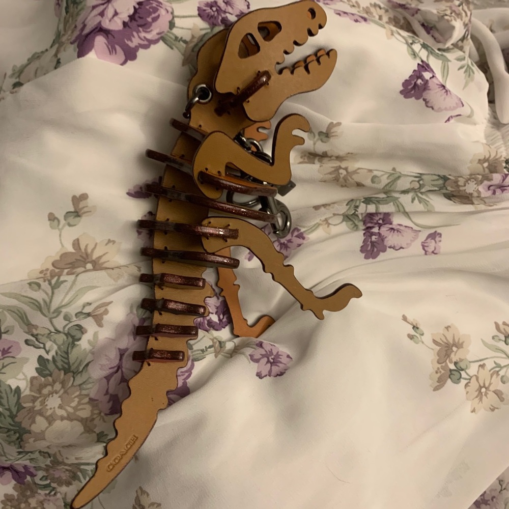 Coach Rainbow rexy bag charm